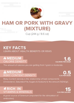 Ham or pork with gravy (mixture)