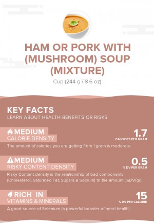 Ham or pork with (mushroom) soup (mixture)