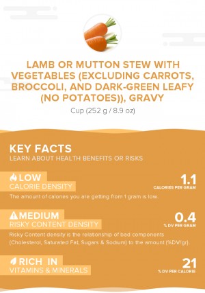 Lamb or mutton stew with vegetables (excluding carrots, broccoli, and dark-green leafy (no potatoes)), gravy