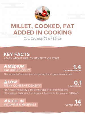 Millet, cooked, fat added in cooking