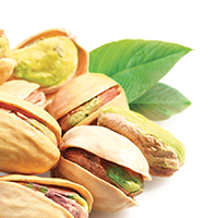 Pistachios, Garlic Flavored, Germack Pistachio Company, 10 Oz Nutrition  Facts & Calories