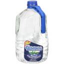 Absopure Natural Spring Water, 1 gal