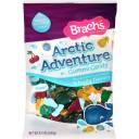 Brach's Arctic Adventure Gummi Candy, 8.5 oz