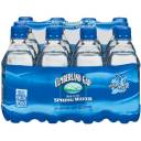 Cumberland Gap Mountain Spring Water, 12 oz 12pk