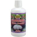 Dynamic Health Mangosteen Juice Blend, 16 oz