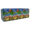 Great Value 100% Juice Apple Juice, 4.23 fl oz, 8 count