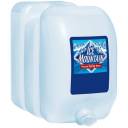 Ice Mountain 100% Natural Spring Water, 2.5 gal