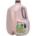 Kemps Select Fat Free Chocolate Skim Milk, 1 gal