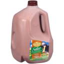 Kemps Swiss Style 1% Lowfat Chocolate Milk, 1 gal