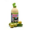 Nellie & Joe's Famous Key West Lime Juice, 16 fl oz