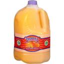 Tampico: Mango Punch, 1 Gal