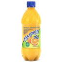 Tampico Orange Tangerine Lemon Citrus Punch, 20 fl oz